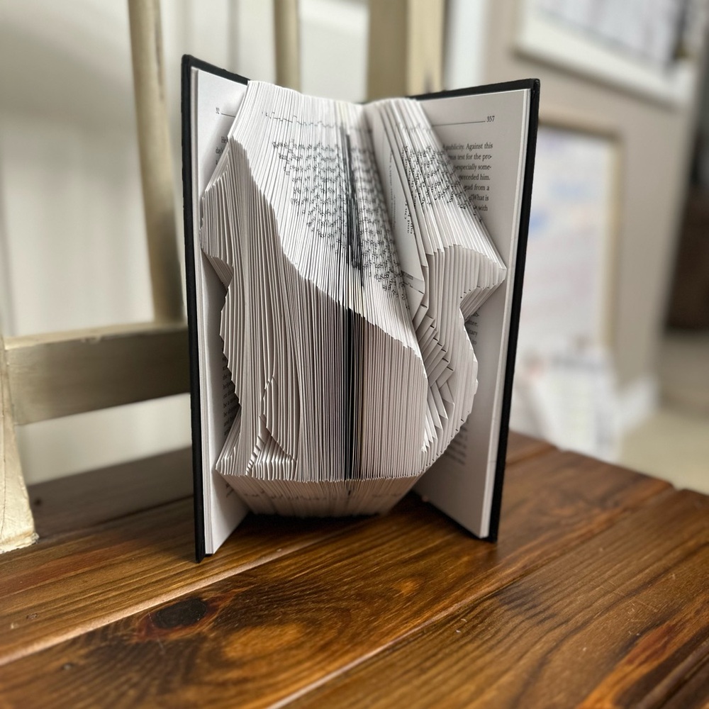 Cat Folded Book Art